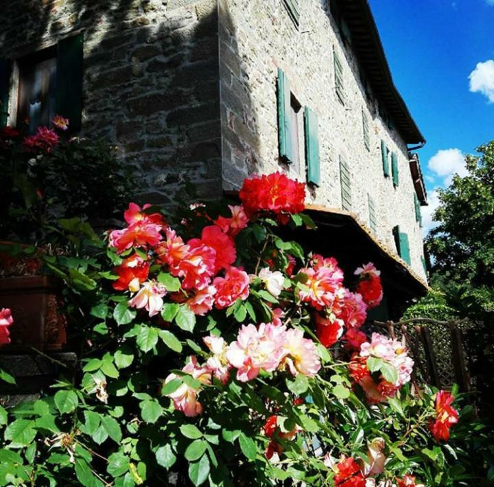 Podere I Rovai-Apt Il Rifugio- In The Heart Of Tuscany ريغلو المظهر الخارجي الصورة