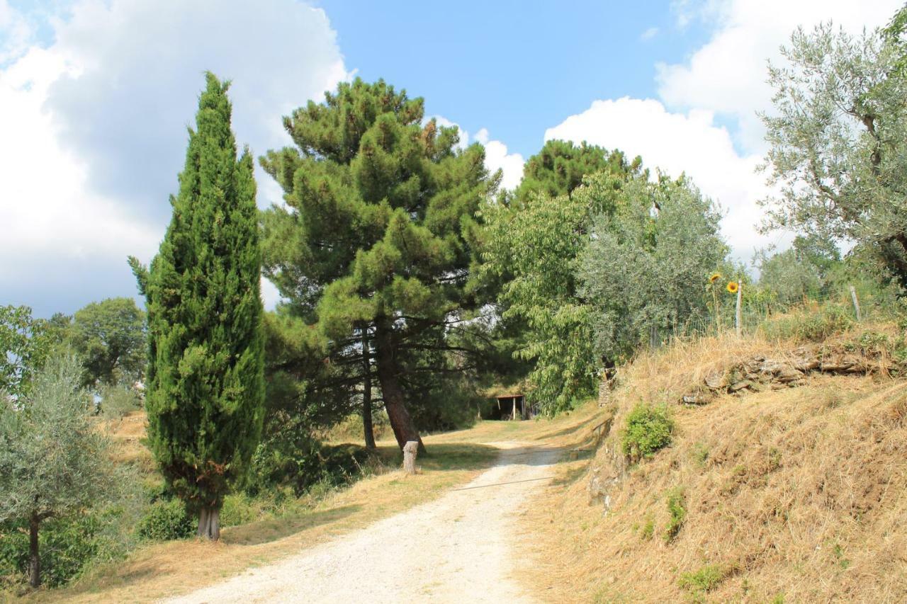 Podere I Rovai-Apt Il Rifugio- In The Heart Of Tuscany ريغلو المظهر الخارجي الصورة