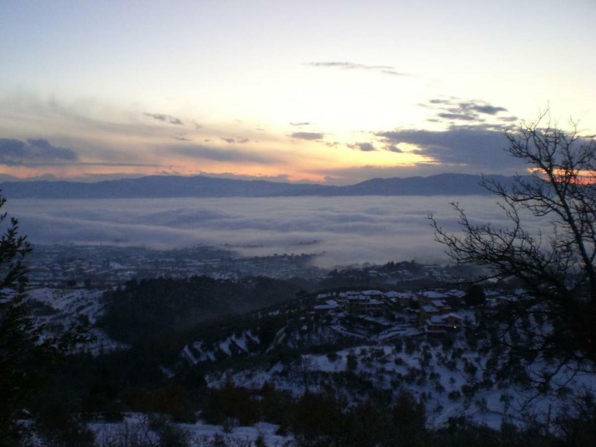 ريغلو Podere I Rovai-Apt Il Rifugio- In The Heart Of Tuscany المظهر الخارجي الصورة