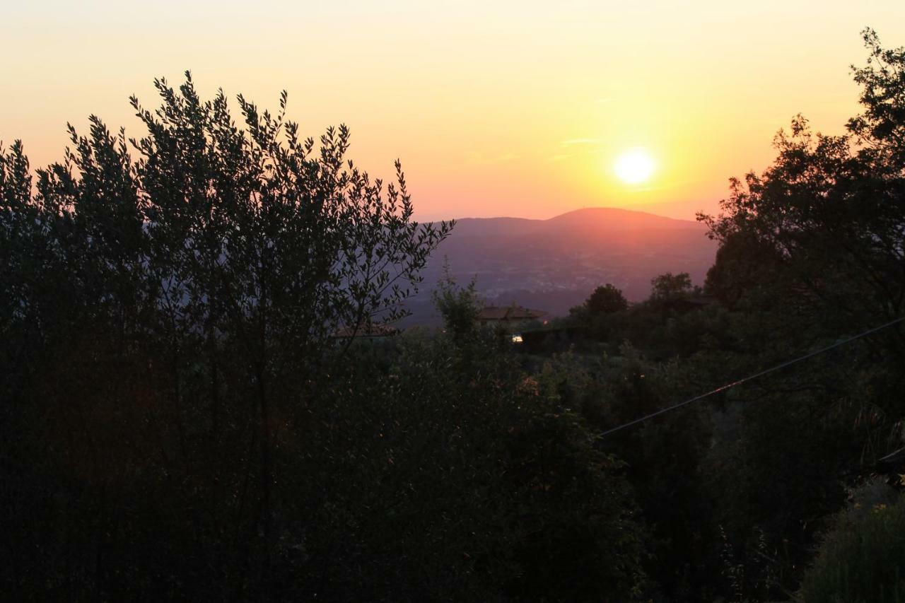 ريغلو Podere I Rovai-Apt Il Rifugio- In The Heart Of Tuscany المظهر الخارجي الصورة