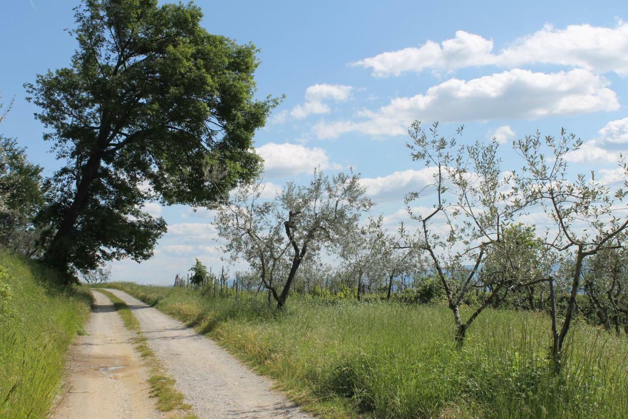 Podere I Rovai-Apt Il Rifugio- In The Heart Of Tuscany ريغلو المظهر الخارجي الصورة