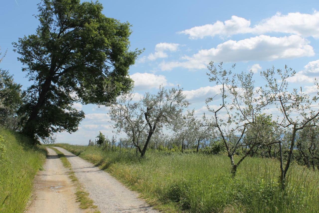 ريغلو Podere I Rovai-Apt Il Rifugio- In The Heart Of Tuscany المظهر الخارجي الصورة