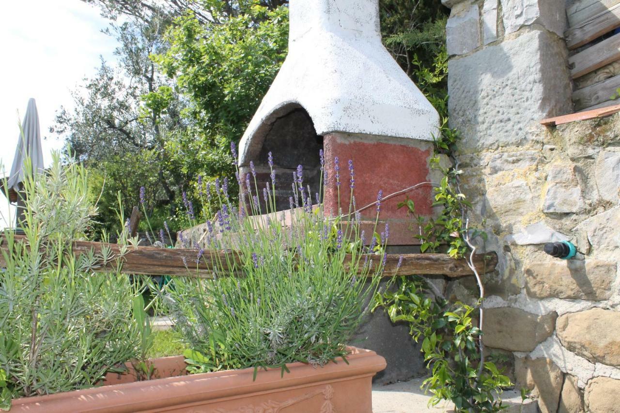 Podere I Rovai-Apt Il Rifugio- In The Heart Of Tuscany ريغلو المظهر الخارجي الصورة